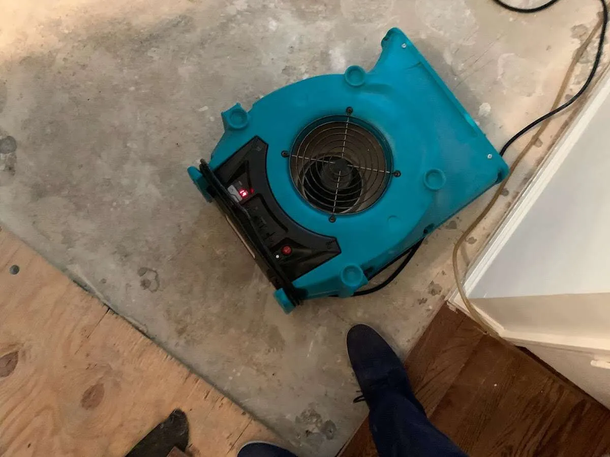 Air mover drying subfloor during Commercial Water Damage Restoration in Lloyd